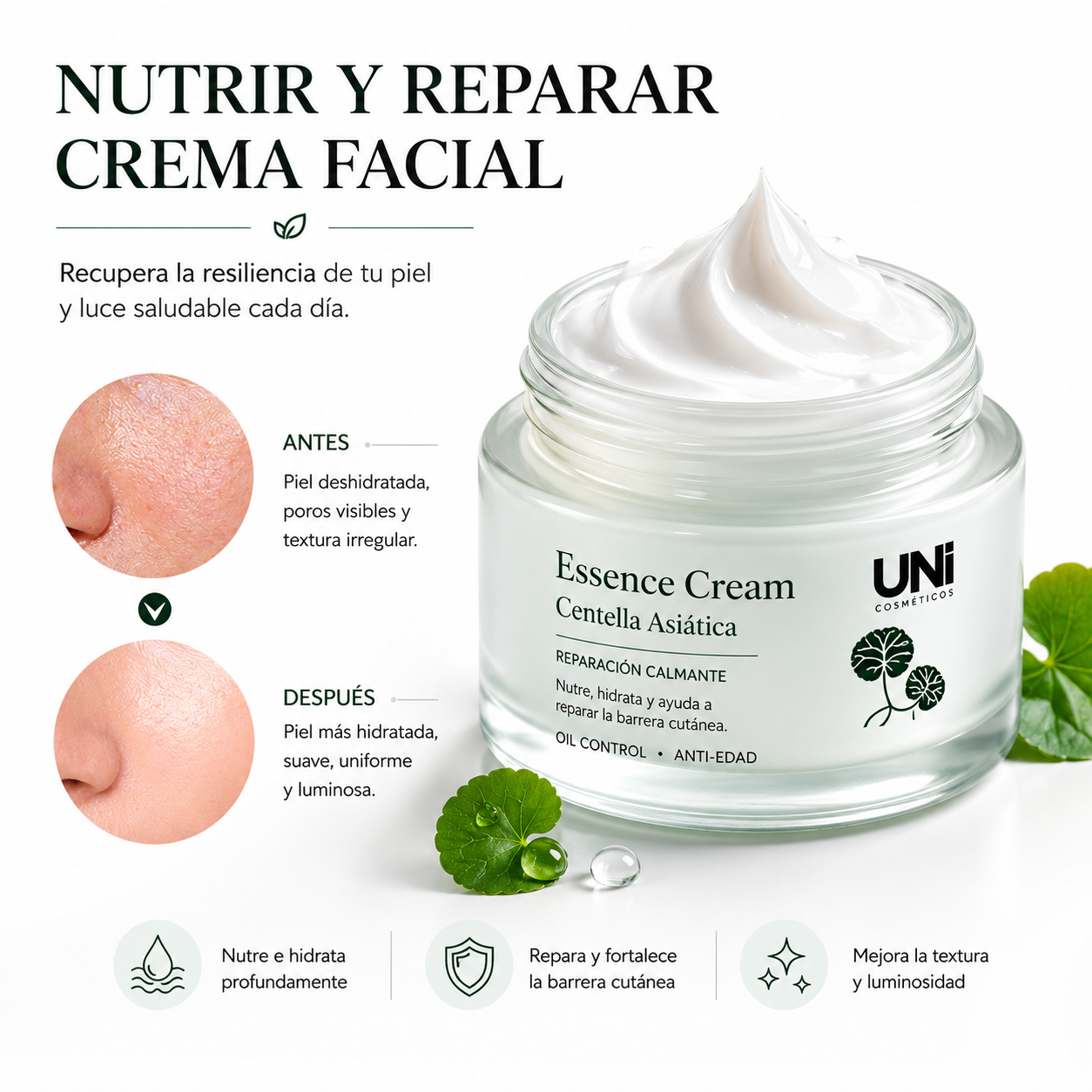 Kit Reparación Intensiva de Centella Asiática – Crema + Sérum
